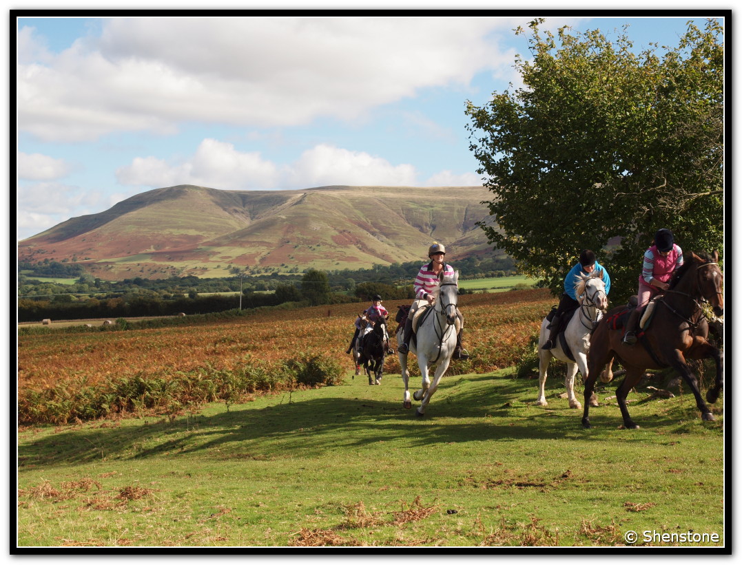 hillgallop
