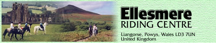 Pony Trekking - Riding Centre